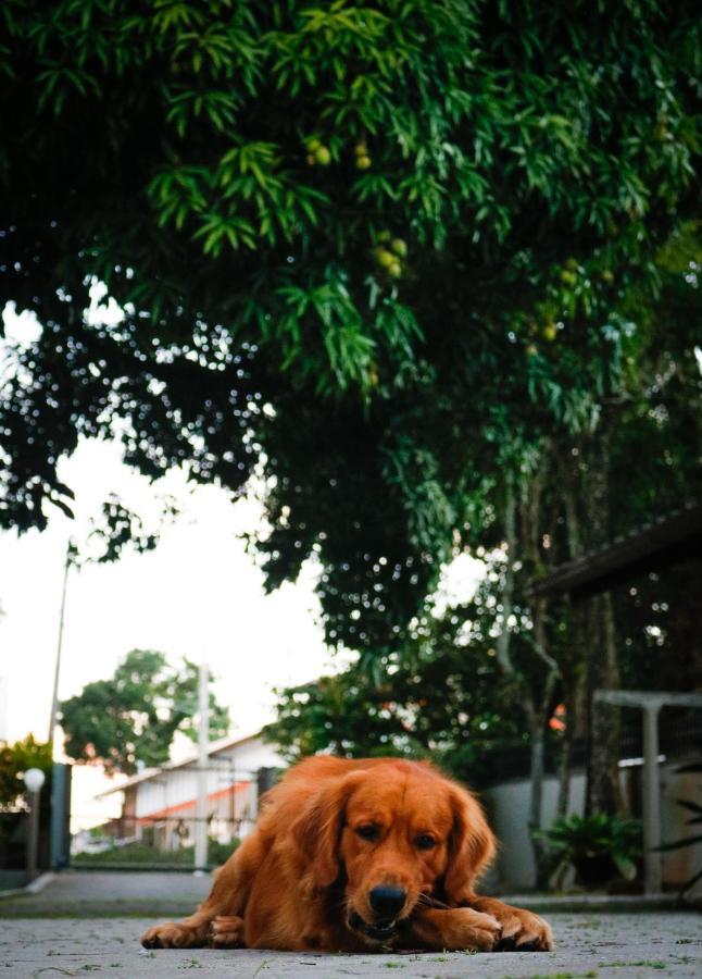 Pousada Encantos De Penha Luaran gambar